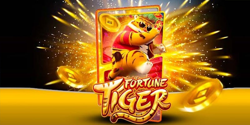 Quem é o Fortune Tiger 89bet.Com